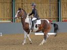 Image 123 in BECCLES AND BUNGAY RC. DRESSAGE. 26 MARCH 2017