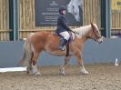 Image 55 in BECCLES AND BUNGAY RC. DRESSAGE. 26 MARCH 2017