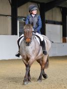 Image 43 in HALESWORTH AND DISTRICT RC. DRESSAGE. 9 APRIL 2017