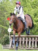 Image 151 in BECCLES AND BUNGAY RC. HUNTER TRIAL 23 APRIL 2017