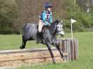 Image 17 in BECCLES AND BUNGAY RC. HUNTER TRIAL 23 APRIL 2017