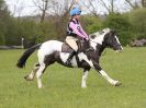 Image 178 in BECCLES AND BUNGAY RC. HUNTER TRIAL 23 APRIL 2017