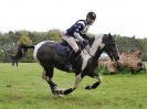 Image 194 in BECCLES AND BUNGAY RC. HUNTER TRIAL 23 APRIL 2017