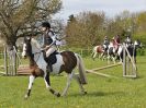 Image 205 in BECCLES AND BUNGAY RC. HUNTER TRIAL 23 APRIL 2017