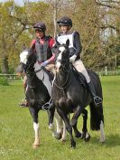 Image 206 in BECCLES AND BUNGAY RC. HUNTER TRIAL 23 APRIL 2017