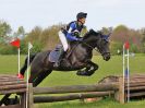 Image 238 in BECCLES AND BUNGAY RC. HUNTER TRIAL 23 APRIL 2017