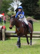 Image 254 in BECCLES AND BUNGAY RC. HUNTER TRIAL 23 APRIL 2017