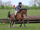 Image 258 in BECCLES AND BUNGAY RC. HUNTER TRIAL 23 APRIL 2017