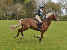 Image 265 in BECCLES AND BUNGAY RC. HUNTER TRIAL 23 APRIL 2017