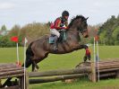 Image 268 in BECCLES AND BUNGAY RC. HUNTER TRIAL 23 APRIL 2017