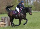 Image 27 in BECCLES AND BUNGAY RC. HUNTER TRIAL 23 APRIL 2017