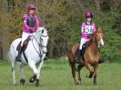 Image 29 in BECCLES AND BUNGAY RC. HUNTER TRIAL 23 APRIL 2017