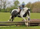 Image 294 in BECCLES AND BUNGAY RC. HUNTER TRIAL 23 APRIL 2017