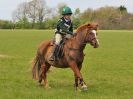 Image 334 in BECCLES AND BUNGAY RC. HUNTER TRIAL 23 APRIL 2017
