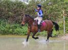 Image 344 in BECCLES AND BUNGAY RC. HUNTER TRIAL 23 APRIL 2017