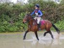 Image 345 in BECCLES AND BUNGAY RC. HUNTER TRIAL 23 APRIL 2017