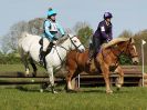 Image 47 in BECCLES AND BUNGAY RC. HUNTER TRIAL 23 APRIL 2017