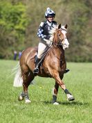 Image 62 in BECCLES AND BUNGAY RC. HUNTER TRIAL 23 APRIL 2017