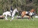 Image 69 in BECCLES AND BUNGAY RC. HUNTER TRIAL 23 APRIL 2017