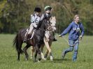 Image 71 in BECCLES AND BUNGAY RC. HUNTER TRIAL 23 APRIL 2017