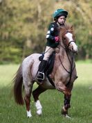 Image 82 in BECCLES AND BUNGAY RC. HUNTER TRIAL 23 APRIL 2017