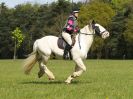 Image 90 in BECCLES AND BUNGAY RC. HUNTER TRIAL 23 APRIL 2017