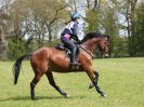 Image 97 in BECCLES AND BUNGAY RC. HUNTER TRIAL 23 APRIL 2017