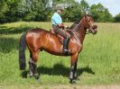 Image 11 in IPSWICH HORSE SOCIETY. CHARITY RIDE. WINSTON SUFFOLK. 4 JUNE 2017