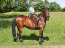 Image 12 in IPSWICH HORSE SOCIETY. CHARITY RIDE. WINSTON SUFFOLK. 4 JUNE 2017