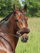 Image 13 in IPSWICH HORSE SOCIETY. CHARITY RIDE. WINSTON SUFFOLK. 4 JUNE 2017