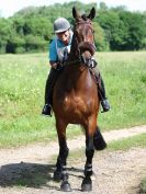 Image 19 in IPSWICH HORSE SOCIETY. CHARITY RIDE. WINSTON SUFFOLK. 4 JUNE 2017