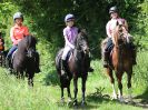 Image 49 in IPSWICH HORSE SOCIETY. CHARITY RIDE. WINSTON SUFFOLK. 4 JUNE 2017