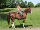 Image 59 in IPSWICH HORSE SOCIETY. CHARITY RIDE. WINSTON SUFFOLK. 4 JUNE 2017