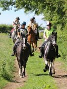 Image 6 in IPSWICH HORSE SOCIETY. CHARITY RIDE. WINSTON SUFFOLK. 4 JUNE 2017