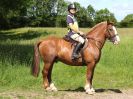 Image 61 in IPSWICH HORSE SOCIETY. CHARITY RIDE. WINSTON SUFFOLK. 4 JUNE 2017