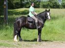 Image 62 in IPSWICH HORSE SOCIETY. CHARITY RIDE. WINSTON SUFFOLK. 4 JUNE 2017