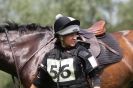 Image 41 in GT. WITCHINGHAM JULY 2013. EAST ANGLIAN  XC  RIDERS