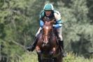 Image 44 in GT. WITCHINGHAM JULY 2013. EAST ANGLIAN  XC  RIDERS