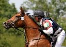 Image 63 in GT. WITCHINGHAM JULY 2013. EAST ANGLIAN XC RIDERS