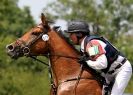 Image 63 in GT. WITCHINGHAM JULY 2013. EAST ANGLIAN  XC  RIDERS