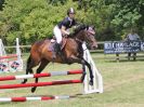 Image 110 in BECCLES & BUNGAY RC. OPEN SHOW. 18 JUNE 2017