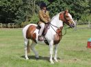 Image 11 in BECCLES AND BUNGAY RC.  OPEN SHOW. 18 JUNE 2017.  WORKING HUNTERS.