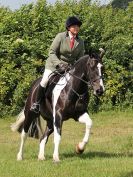 Image 21 in BECCLES AND BUNGAY RC.  OPEN SHOW. 18 JUNE 2017.  WORKING HUNTERS.