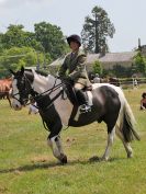 Image 25 in BECCLES AND BUNGAY RC.  OPEN SHOW. 18 JUNE 2017.  WORKING HUNTERS.
