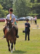 Image 31 in BECCLES AND BUNGAY RC. OPEN SHOW. 18 JUNE 2017. WORKING HUNTERS.