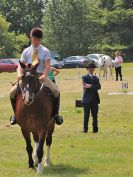 Image 31 in BECCLES AND BUNGAY RC.  OPEN SHOW. 18 JUNE 2017.  WORKING HUNTERS.