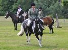 Image 34 in BECCLES AND BUNGAY RC. OPEN SHOW. 18 JUNE 2017. WORKING HUNTERS.