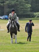 Image 37 in BECCLES AND BUNGAY RC. OPEN SHOW. 18 JUNE 2017. WORKING HUNTERS.