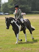 Image 38 in BECCLES AND BUNGAY RC. OPEN SHOW. 18 JUNE 2017. WORKING HUNTERS.