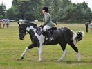 Image 40 in BECCLES AND BUNGAY RC. OPEN SHOW. 18 JUNE 2017. WORKING HUNTERS.